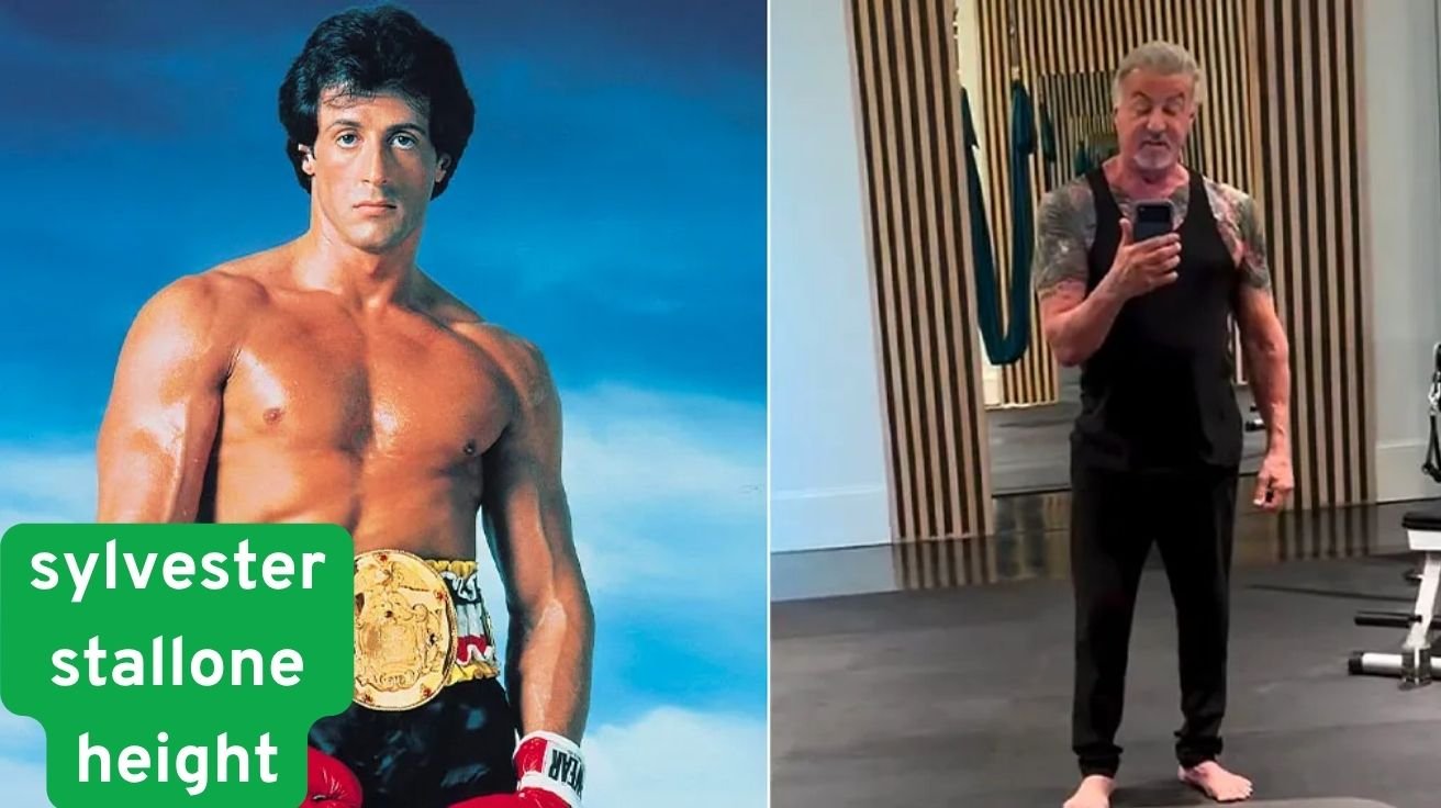 Sylvester Stallone Height, Career Success, Family, & Wealth